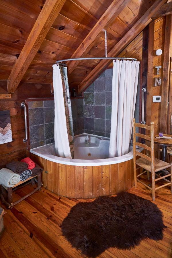 Gatlinburg Area Hottub Cabin - Ladyslipper سيفيرفيل المظهر الخارجي الصورة