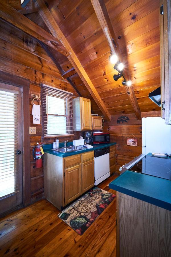Gatlinburg Area Hottub Cabin - Ladyslipper سيفيرفيل المظهر الخارجي الصورة