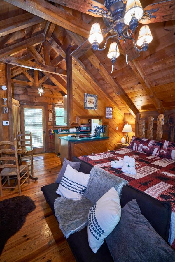 Gatlinburg Area Hottub Cabin - Ladyslipper سيفيرفيل المظهر الخارجي الصورة
