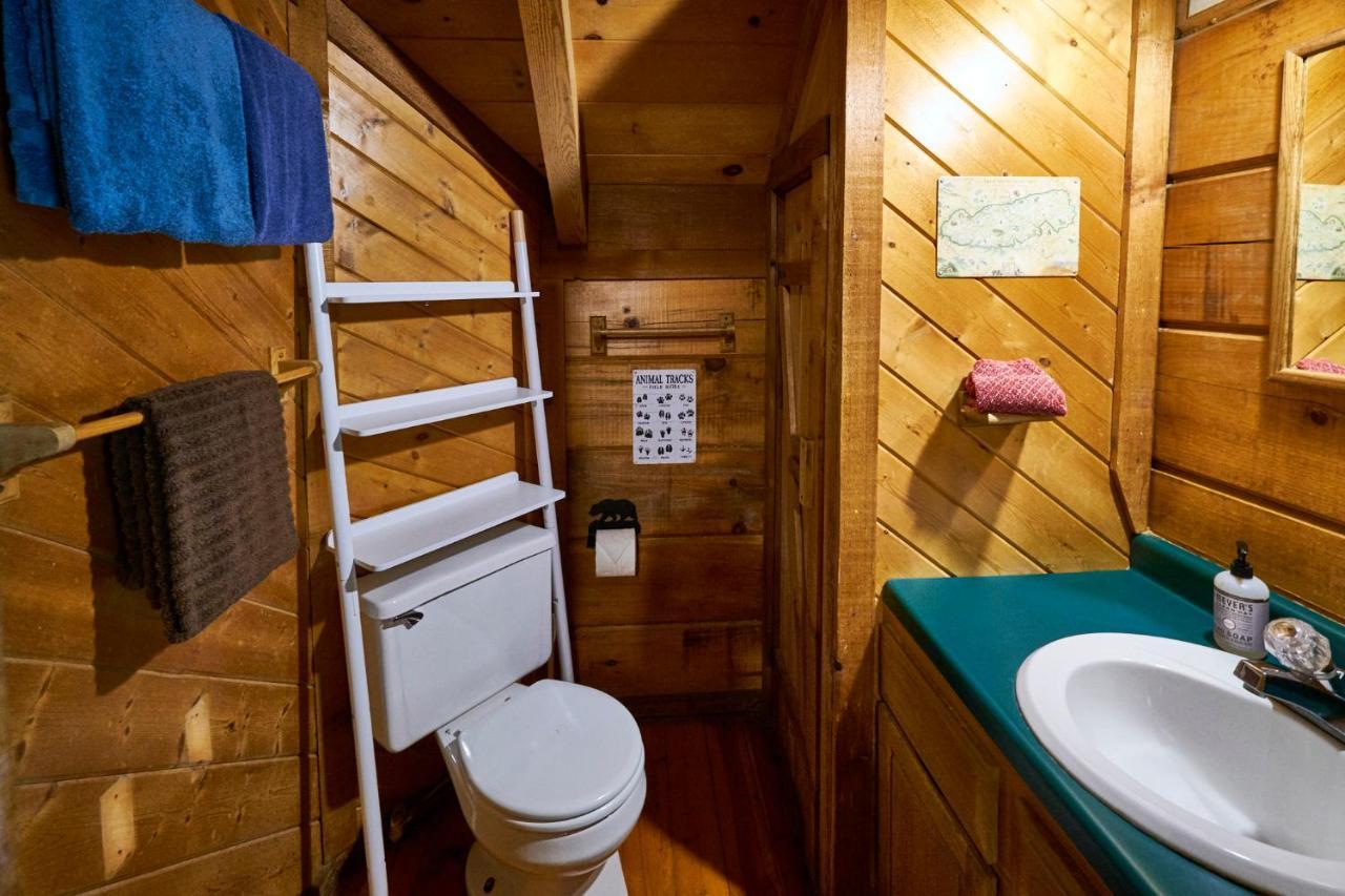 Gatlinburg Area Hottub Cabin - Ladyslipper سيفيرفيل المظهر الخارجي الصورة