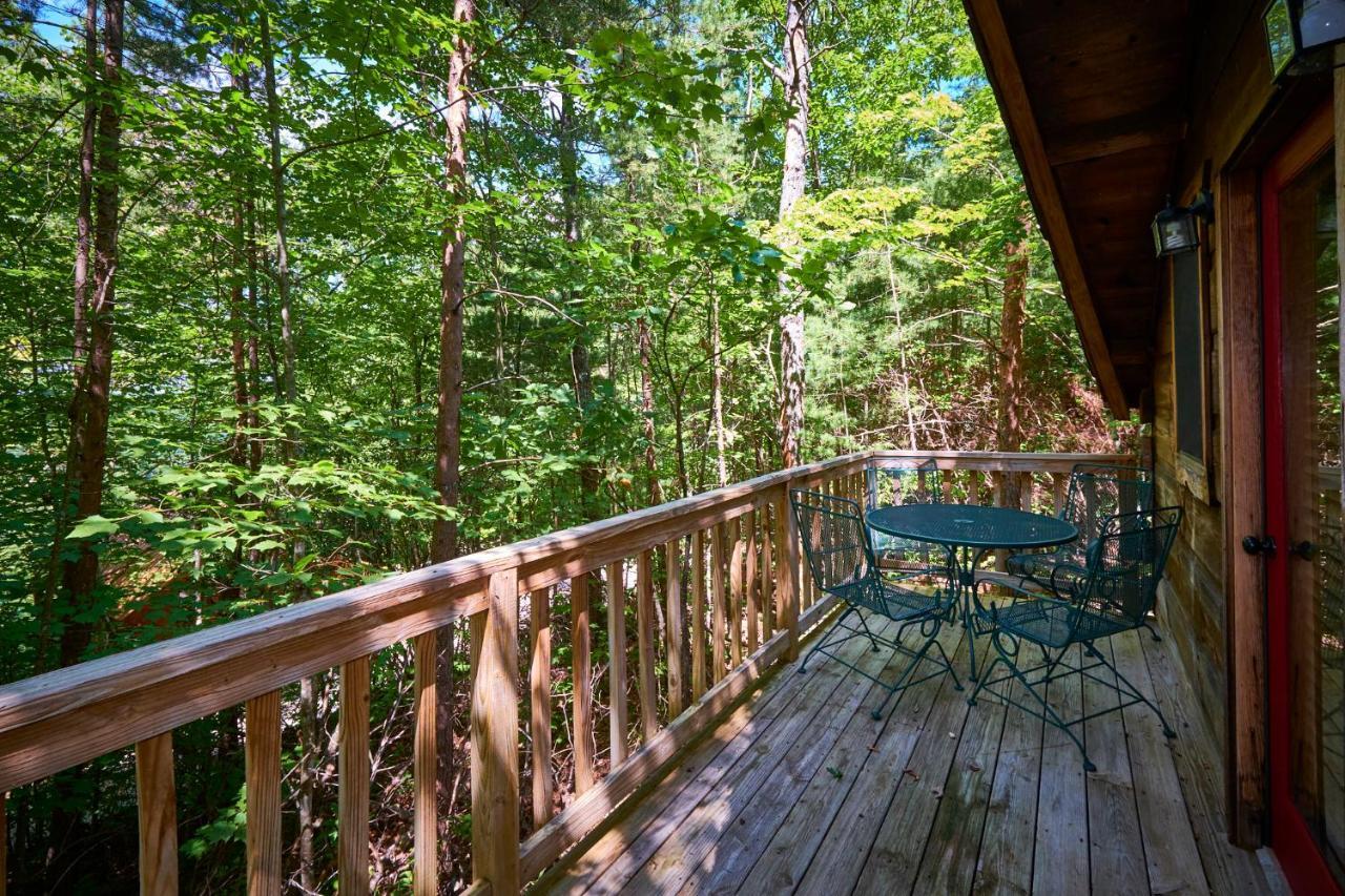 Gatlinburg Area Hottub Cabin - Ladyslipper سيفيرفيل المظهر الخارجي الصورة