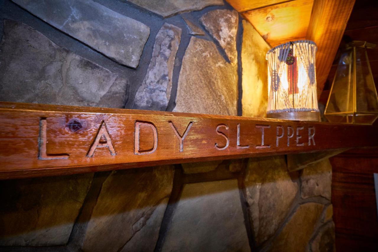 Gatlinburg Area Hottub Cabin - Ladyslipper سيفيرفيل المظهر الخارجي الصورة